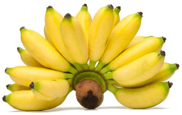 நோய்கள் தீர்க்கும் காய்கள், கனிகள்!