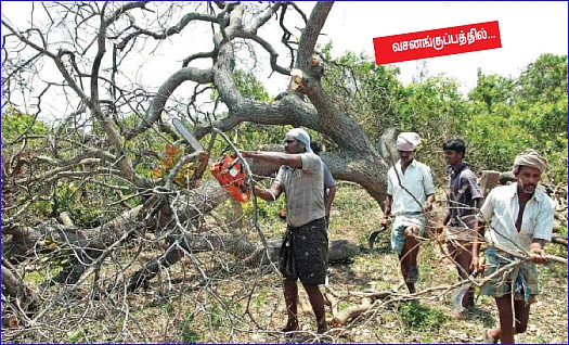 'தானே' துயர் துடைத்தோம்!