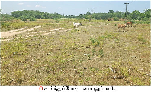 பாலாறு முதல் வாயலூர் வரை... உயிர்பெற்ற ஒரு கால்வாய்!