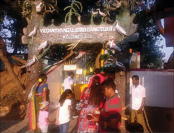 மண்புழு மன்னாரு: பறவைகள் கொடுக்கும் ‘இயற்கைப் பரிசு!’