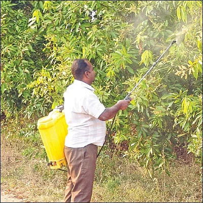 சின்னச் சின்ன நுண்ணுயிர்கள் பெரிய பெரிய லாபம்! - உதவிக்கு வரும் உயிரியல் -2