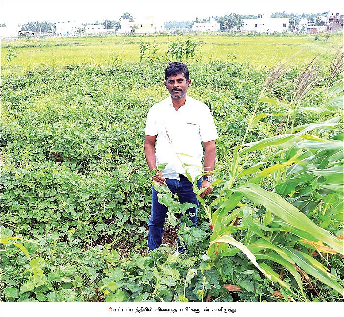 வரிசையாக வட்டப்பாத்திகள்... குறைந்த இடத்தில் குதூகல சாகுபடி!
