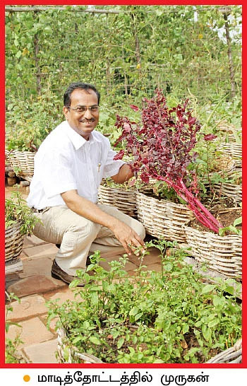 வீட்டுக்குள் விவசாயம் - 10