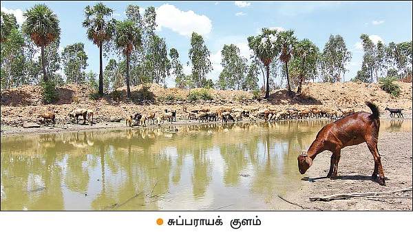 ஊருக்கு வழிகாட்டும் உத்தரமேரூர் பேரூராட்சி!