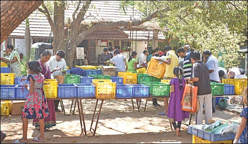 விளையும் விலையும்! - சந்தைக்கு வழிகாட்டும் தொடர் - 14