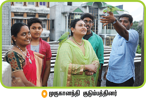 ஆசை - பச்சைக் கிளிகள் தோளோடு...