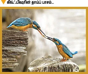 உலக அநீதிகளின் சாட்சி!