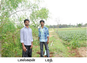 வெண்டை, கீரை, அவரை, மிளகாய்... 3மாதம் 90 ஆயிரம்...