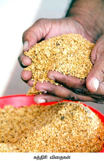 அரை ஏக்கர்... 18 மாதங்கள்... 2 லட்சம்