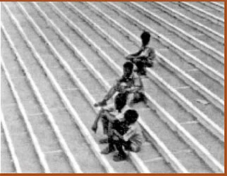 நசுங்கிப் போனவை...