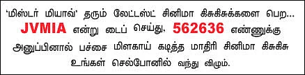 மிஸ்டர் மியாவ்: தமிழில் இருந்து தமிழுக்கு...