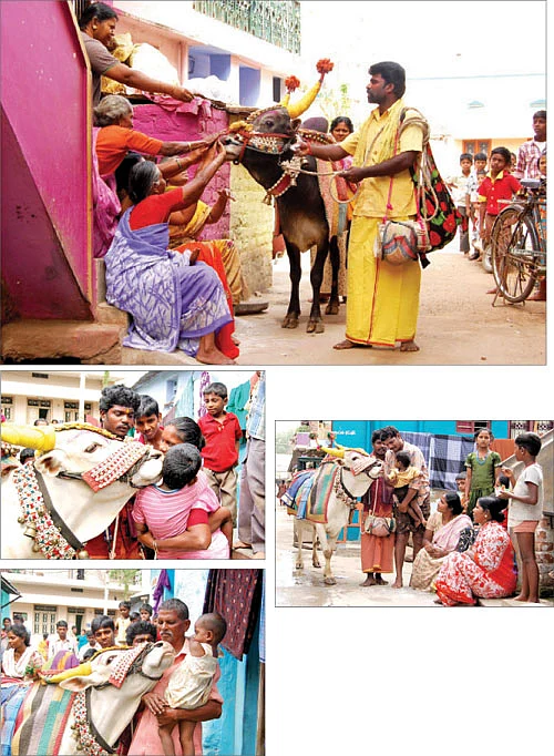 அய்யாவுக்கும் அம்மாவுக்கும் பாப்பாவுக்கும் உம்மா கொடு!