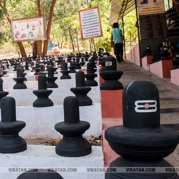 தை மாதம் விழாக்கள், விசேஷங்கள்! #VikatanPhotoStory