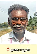 மொச்சை, வெள்ளரி, வரகு... ‘விதைகளின் தாய்’ ஒம்பாலம்மா!