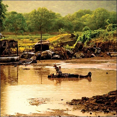 ஆயிரம் சூரியன் ஆயிரம் சந்திரன் ஒரே ஒரு பூமி - 37
