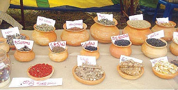 மறைந்து போன பாரம்பரிய நெல் ரகங்கள்...