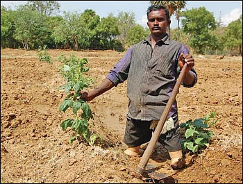 விவசாயிகளைச் சிறப்பித்த விஷால்!