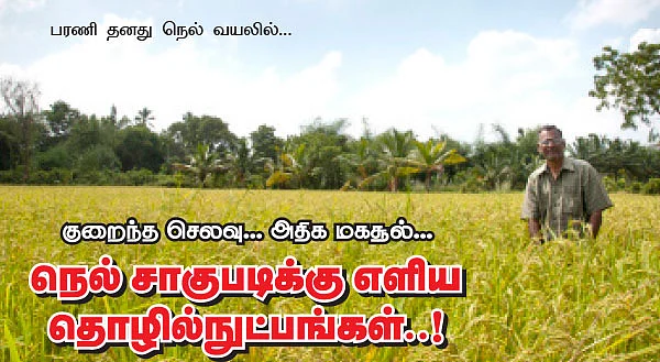 குறைந்த செலவு...அதிக மகசூல்..