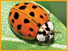 ஹாய் மதன் கேள்வி - பதில்