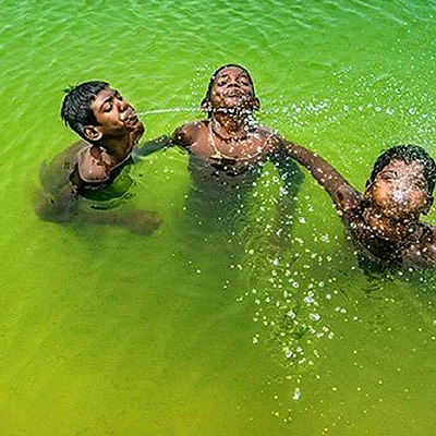 நீச்சல் கலை