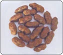 பிடி கொழுக்கட்டை