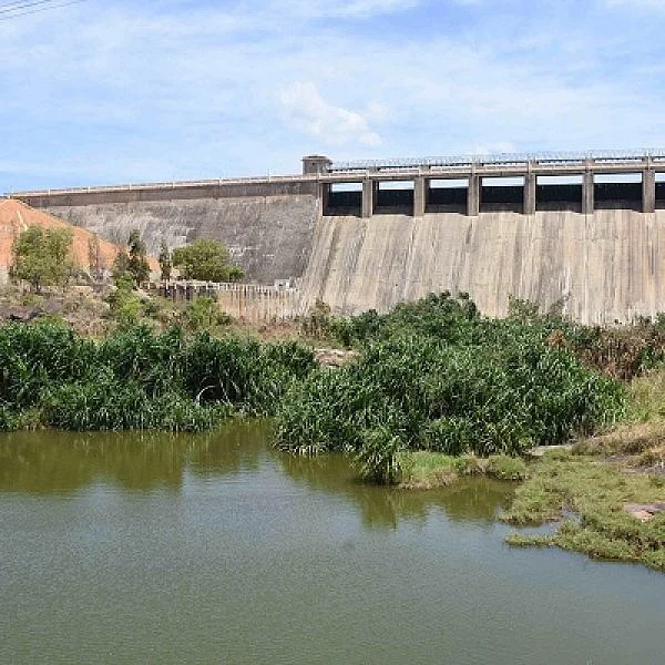 `அருவியைப் பார்க்கலாம்; குளிக்கக்கூடாது!'- மணிமுத்தாறில் சுற்றுலாப் பயணிகளுக்குத் தடை