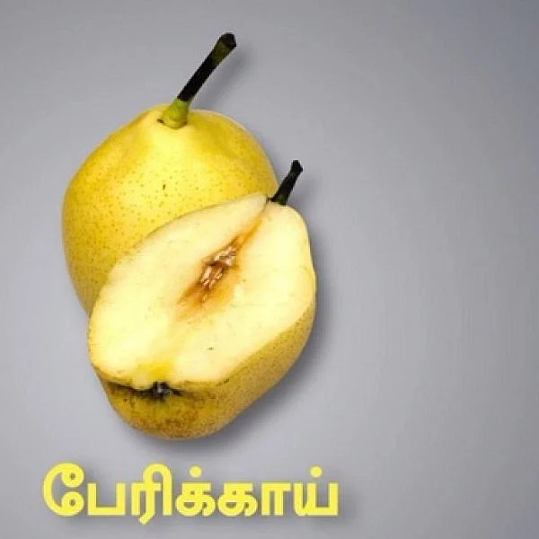 ஆரம்பித்துவிட்டது மருத்துவ குணங்கள் பல கொண்ட ’பேரிக்காய்’ சீசன்!