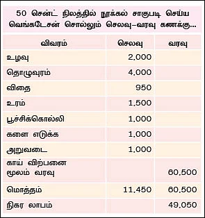 50 சென்ட்... 60 நாள்... 60 ஆயிரம்...