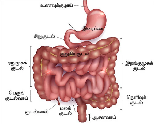 இனி எல்லாம் சுகமே - 17