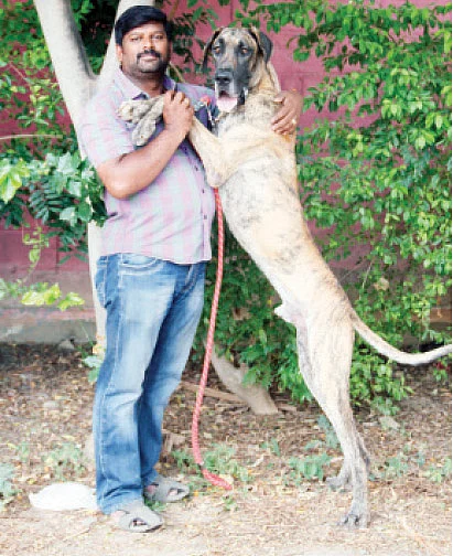 ஹாபிஸ்: ஜாலி முதலீடு, சர்ப்ரைஸ் லாபம்!