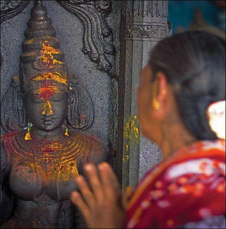 சக்தியர் சங்கமம்!