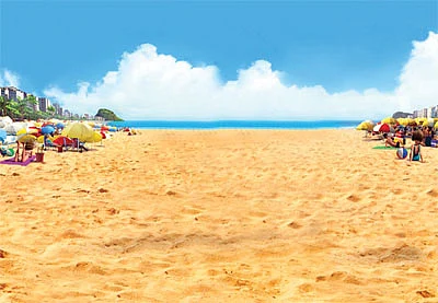 பற...பற... கிளியே !