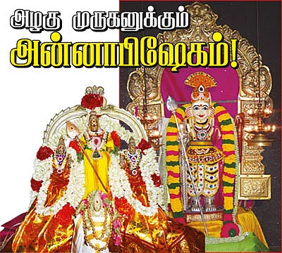 அழகு முருகனுக்கும் அன்னாபிஷேகம்!