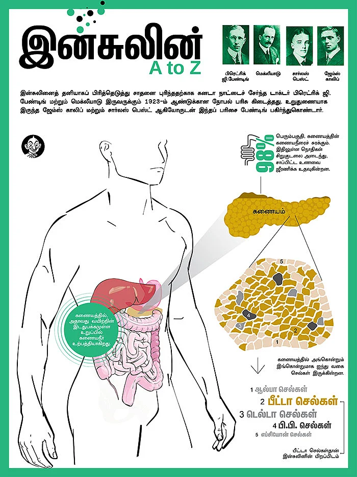இன்சுலின் A to Z
