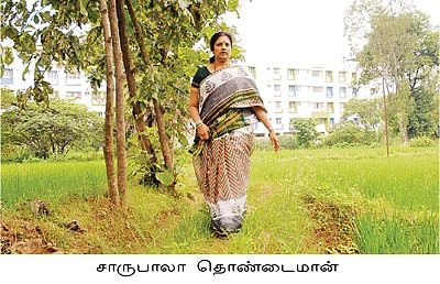 'சந்தோஷம் விளையணுமா... விவசாயம் பண்ணுங்க !'