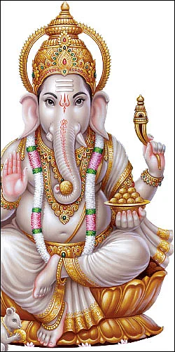 `தும்பிக்கை' புதிர்!