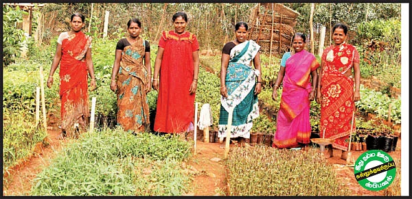 பூக்களின் பூமியான சாராய பூமி!