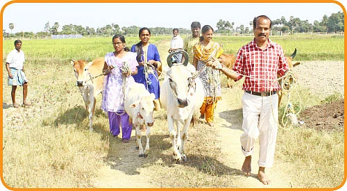 ’ஒரு நாள் விவசாயி!’