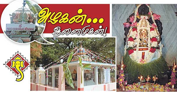 வெள்ளெருக்கு வனத்தில்... அழகன் ஆனைமுகன்