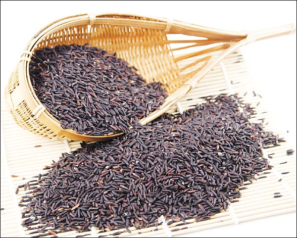 கவுனி அரிசி - கறுப்பில் இருக்கும் சிறப்பு