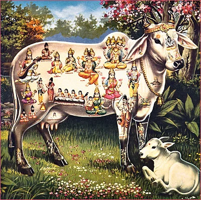 கேள்வி-பதில் : சேஷாத்ரிநாத சாஸ்திரிகள்