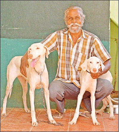 என் செல்லமே...
