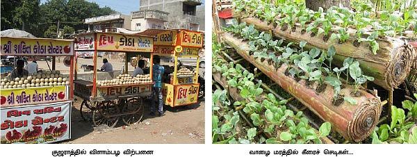 மண்புழு மன்னாரு !