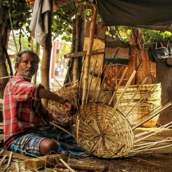 ''எங்கள்ல பலருக்கு சுண்டு விரல்ல பாதி இருக்காது..!" வேதனைக் கதை சொல்லும் மூங்கில் கூடைத் தொழிலாளர்கள்