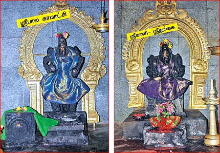 ஐஸ்வரியம் தரும் அன்னாபிஷேக தரிசனம்!