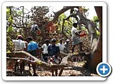 மரம் வெட்டி, நிலத்தைச் சுத்தப்படுத்திக்கொடுக்கும் திட்டம் - நடுத்திட்டு கிராமம்