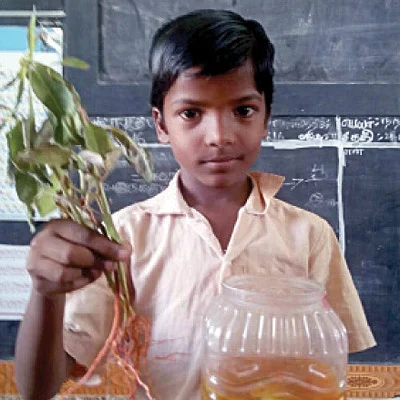 சிவப்பு நிறச் செடி!