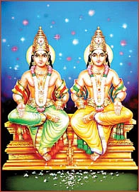 அசுவினி