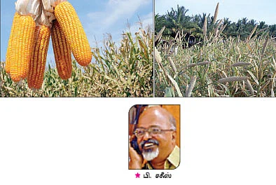 நீங்கள் கேட்டவை