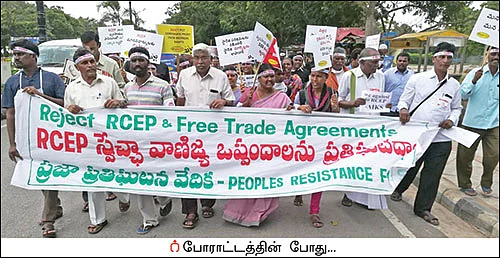 விளையும் விலையும்! - சந்தைக்கு வழிகாட்டும் தொடர் - 11